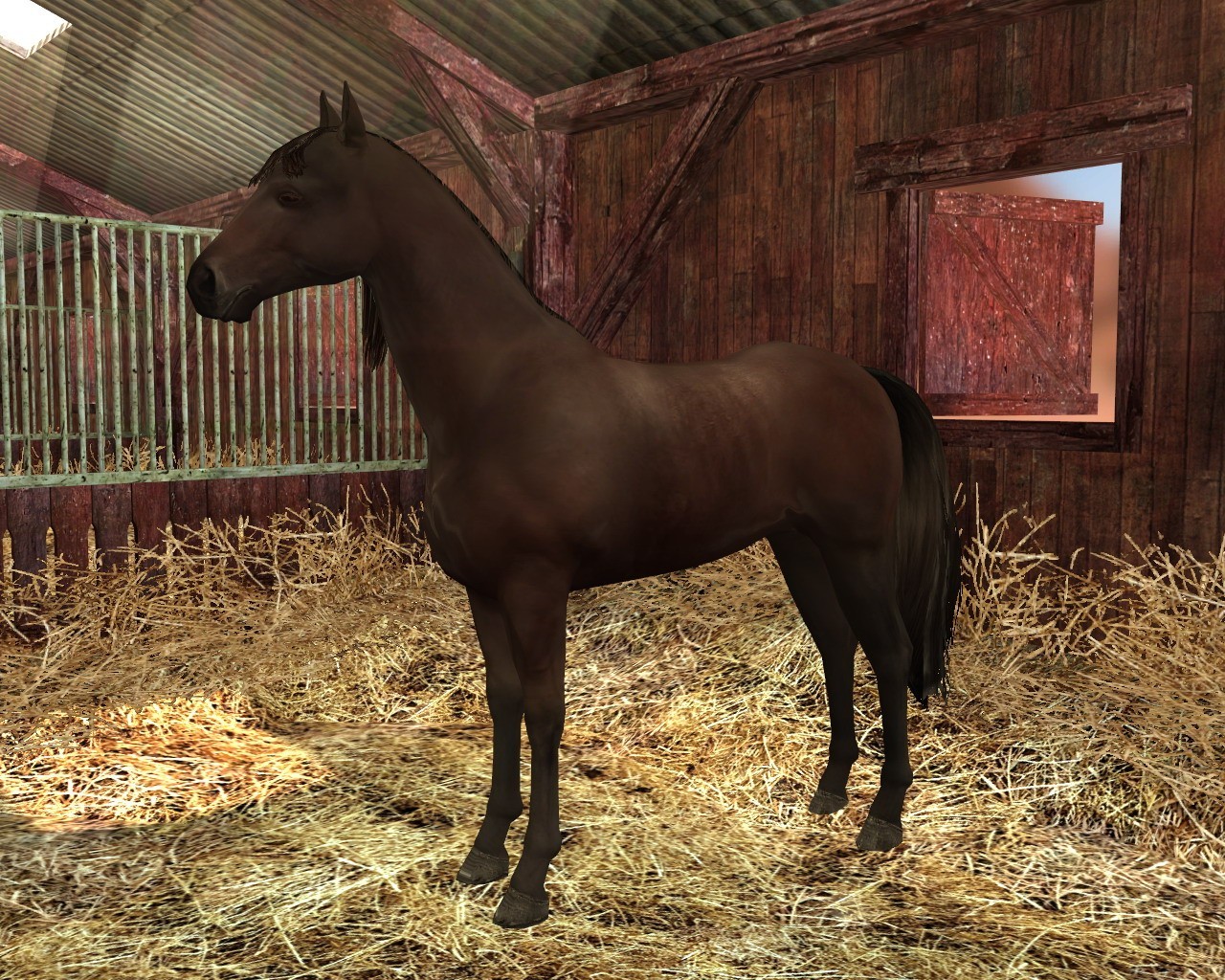horse life 2 game